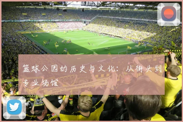 篮球公园的历史与文化：从街头到专业场馆