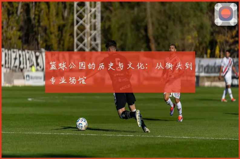 篮球公园的历史与文化：从街头到专业场馆