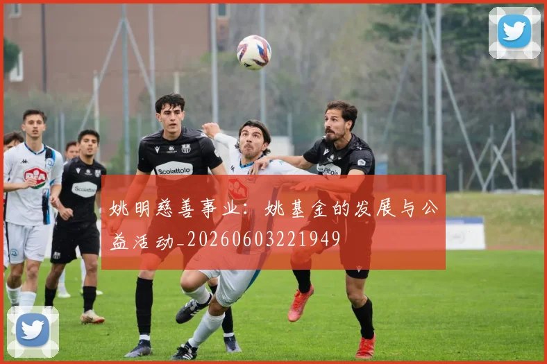 姚明慈善事业：姚基金的发展与公益活动_20260603221949